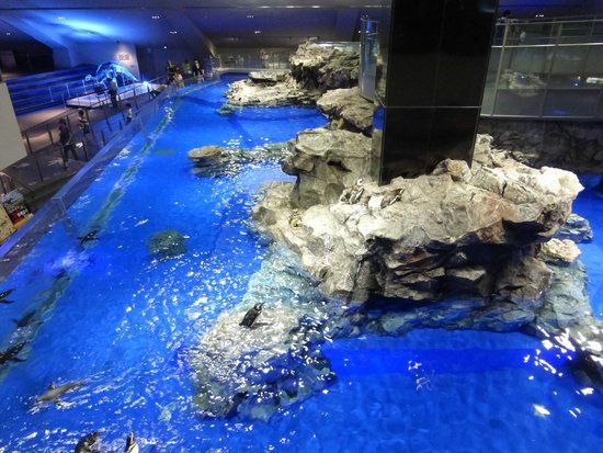 Acuario de Sumida